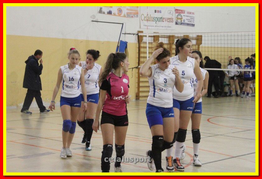 140305 Primula 128_tn.jpg